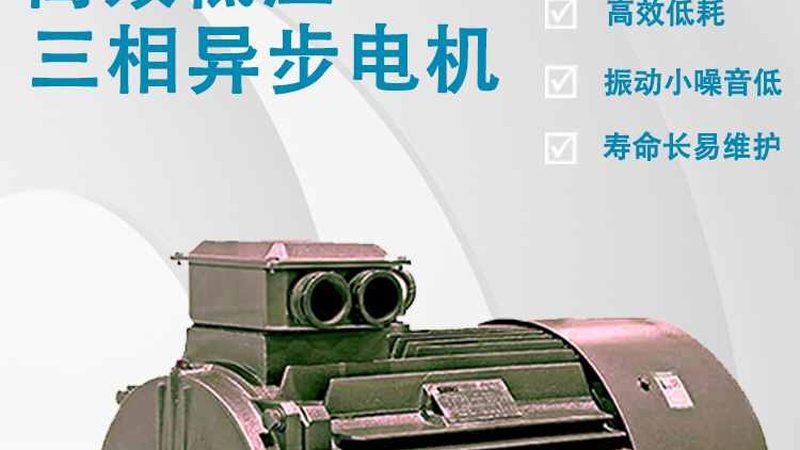 新能源汽车用直流电机：核心技术解析与品牌选择**